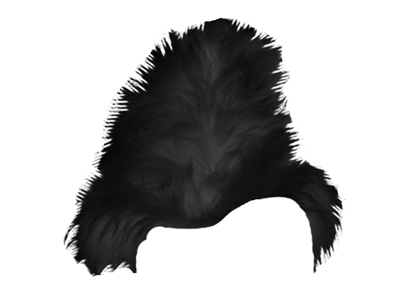 OVIS BLACK SHEEPSKIN FUR